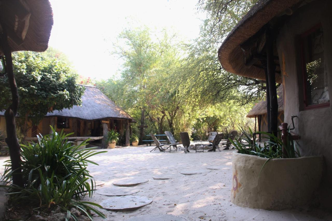 Discovery Bed And Breakfast Maun Kültér fotó