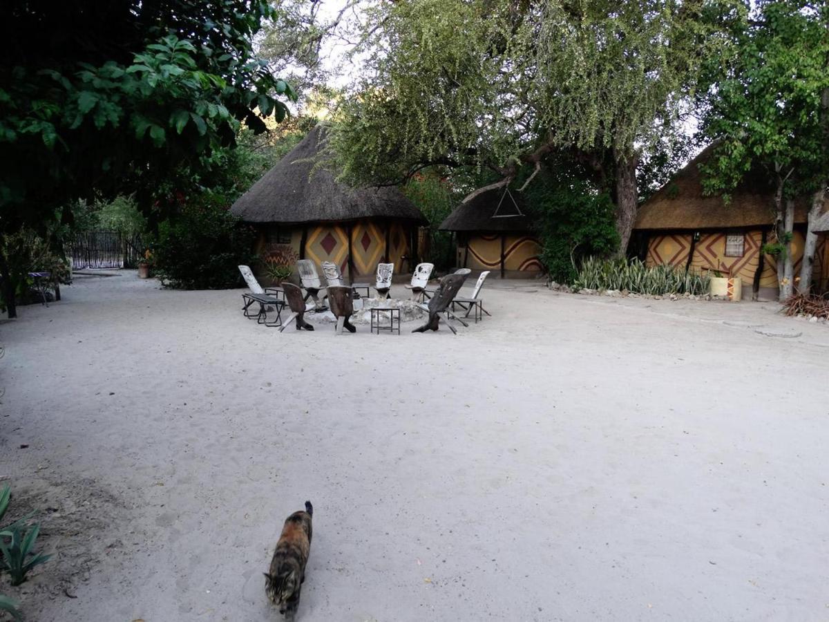Discovery Bed And Breakfast Maun Kültér fotó